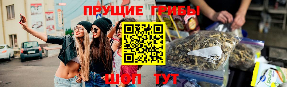 Зерноград  Галлюциногенные грибы Psilocybine cubensis  где найти   Вход с VPN 
