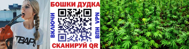 хочу Зерноград Бошки марихуана планчик